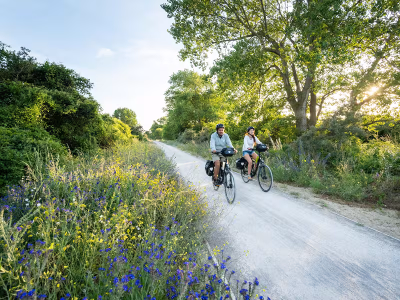Cyclistes sur la voie verte à Zuidcoote