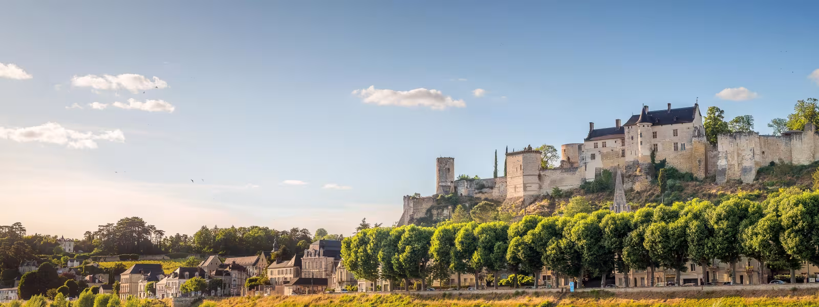 Forteresse de Chinon au-dessus de la Vienne