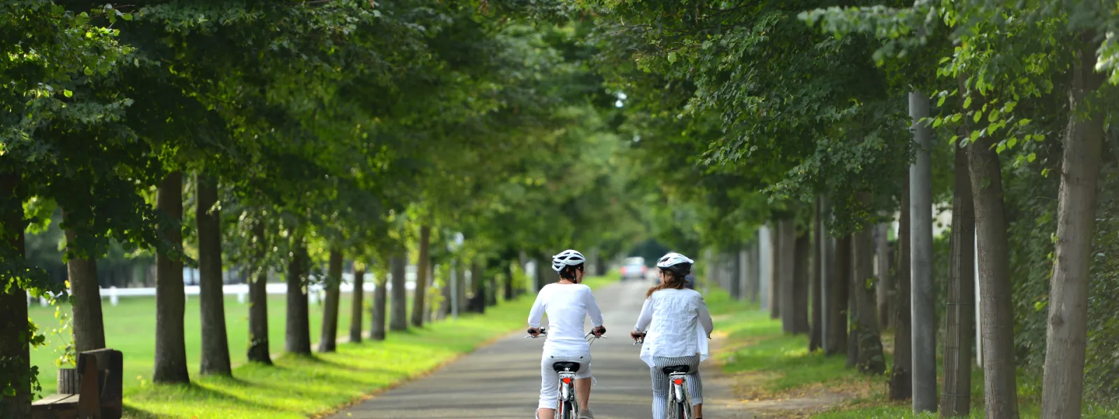 Dans les sous-bois à vélo vers Maisons-Laffitte