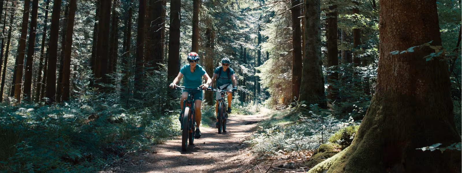 Sur la GTMC VTT dans les forêts du Morvan vers le Haut Folin