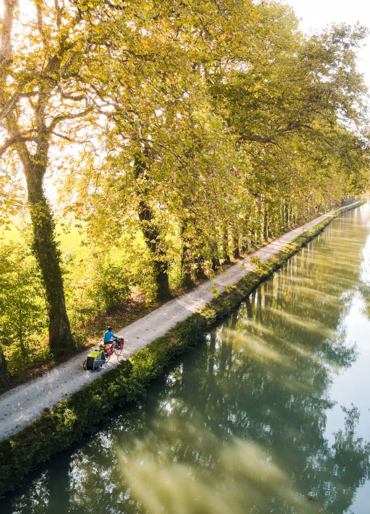 Le Canal du midi à vélo avec trois chiens