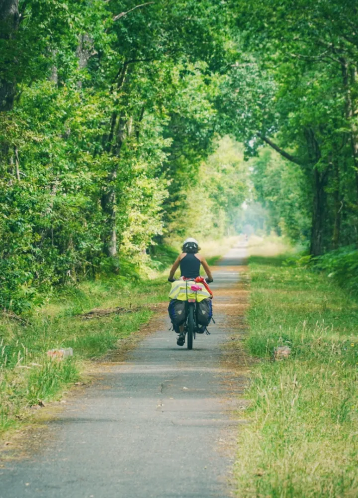 Voyage à vélo en pleine forêt