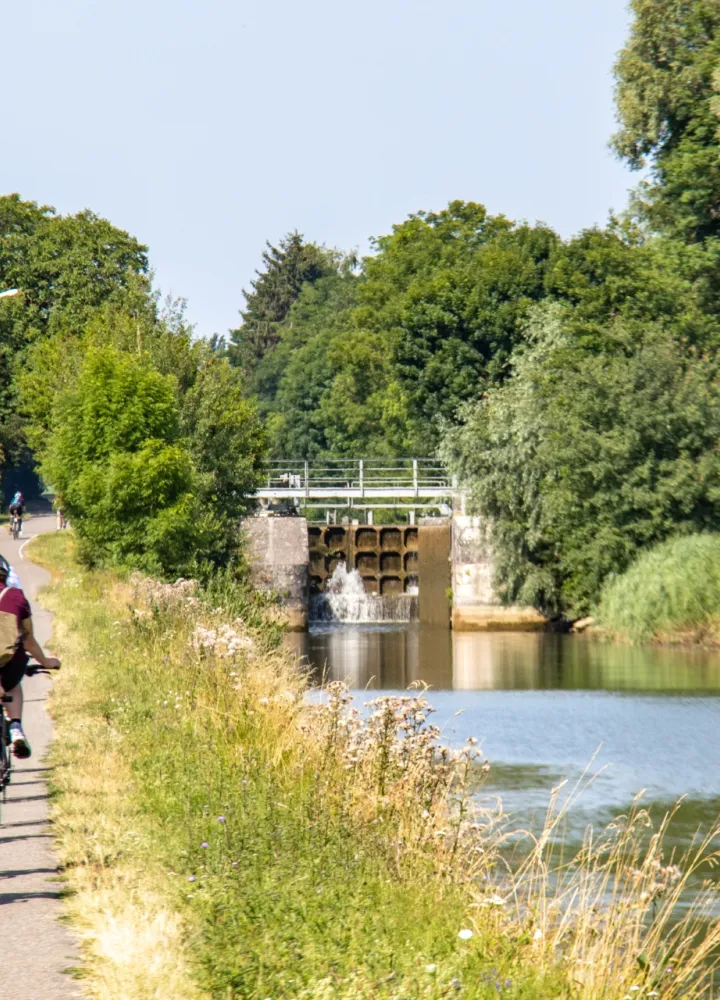Cyclistes à Dannemarie