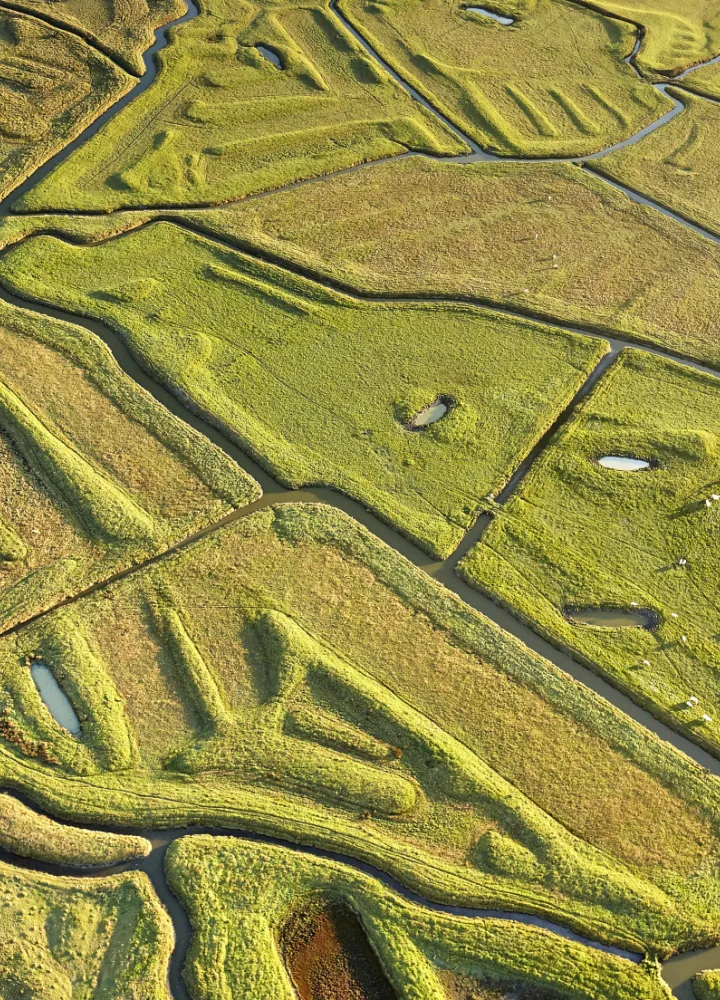 Le Marais breton vendéen