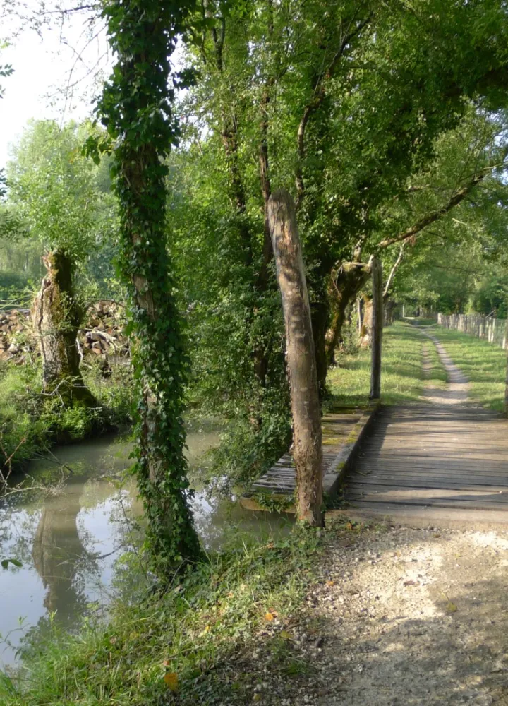 Traversée du marais Poitevin à vélo par La Vélo Francette