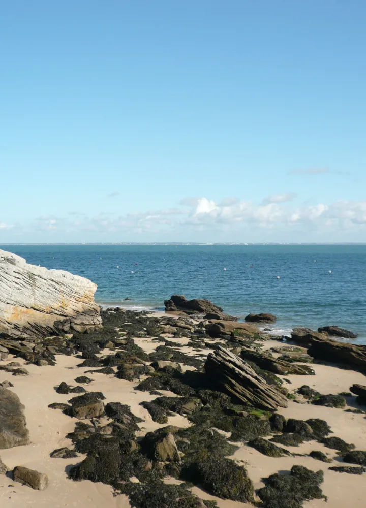Plage des Dames de Noirmoutier