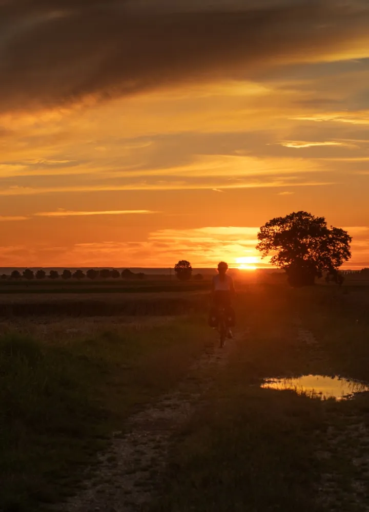 Seurre au coucher de soleil