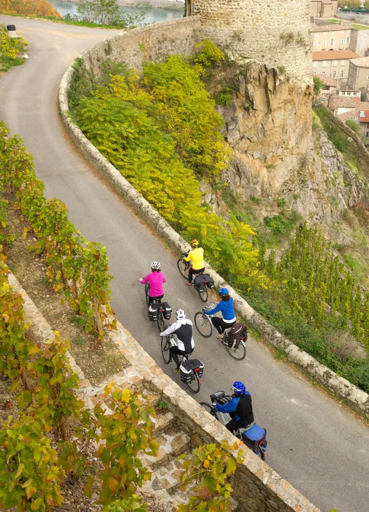 Wein & Radfahren entlang der Rhône