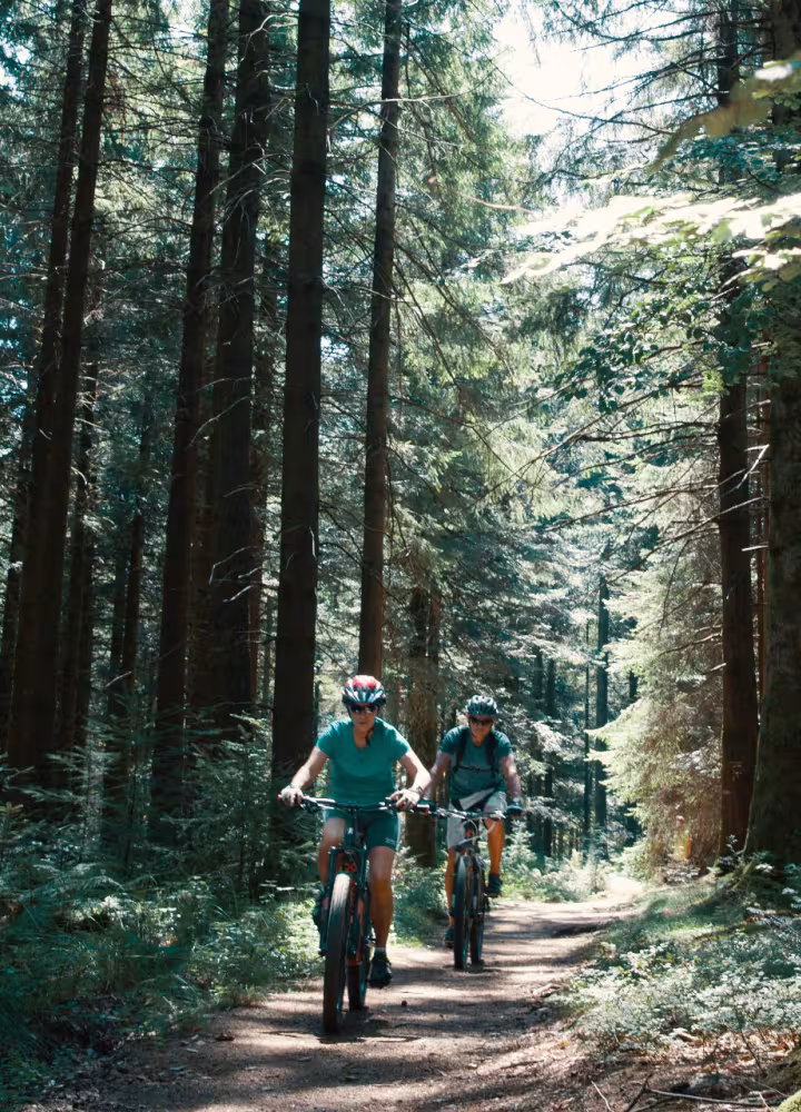 Sur la GTMC VTT dans les forêts du Morvan vers le Haut Folin
