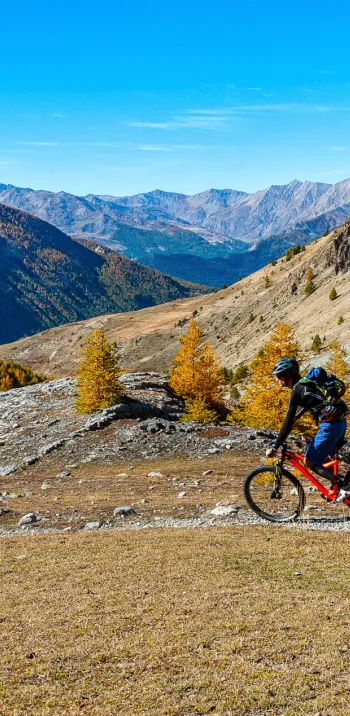Voyage dans les Alpes à VTT