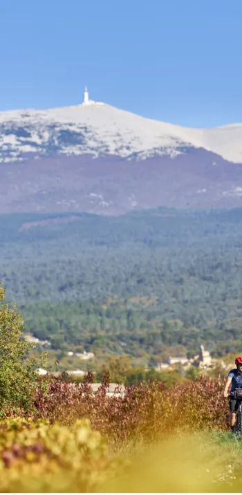 Au pied du Ventoux à vélo