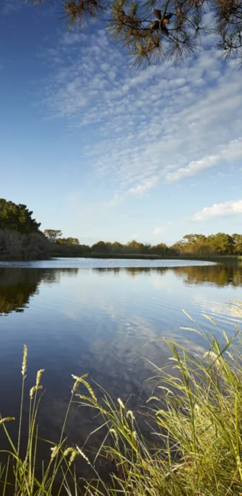 Marais de Mousterlin