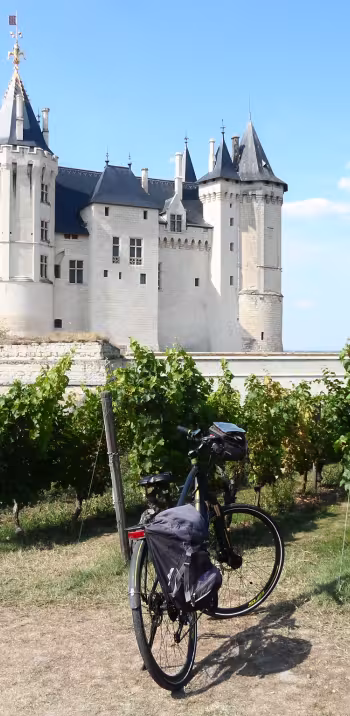 Le château de Saumur