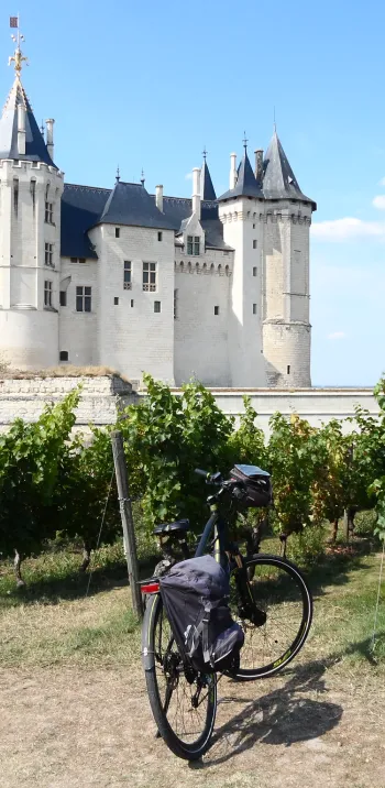 Le château de Saumur