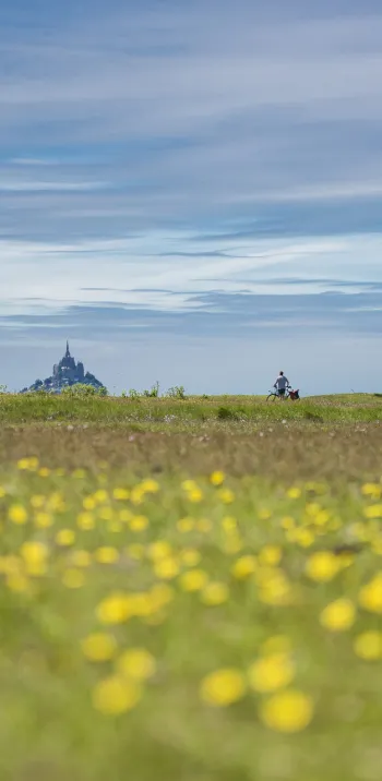 Autour du Mont-Saint-Michel