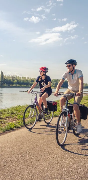 Piste cyclable le long du Rhin - Eurovélo 15