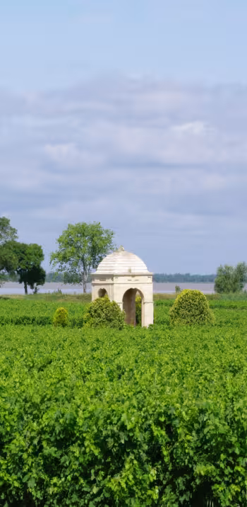 Les vignobles de Gironde à vélo
