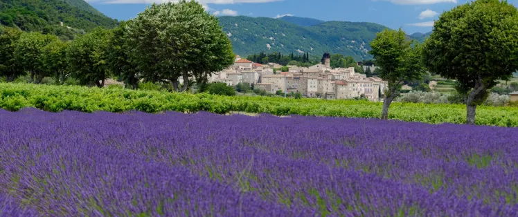 Séjours vélo en Provence avec Safrantours
