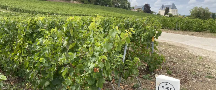 Château de Saran en Champagne