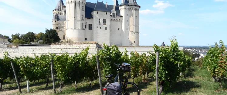 Le château de Saumur