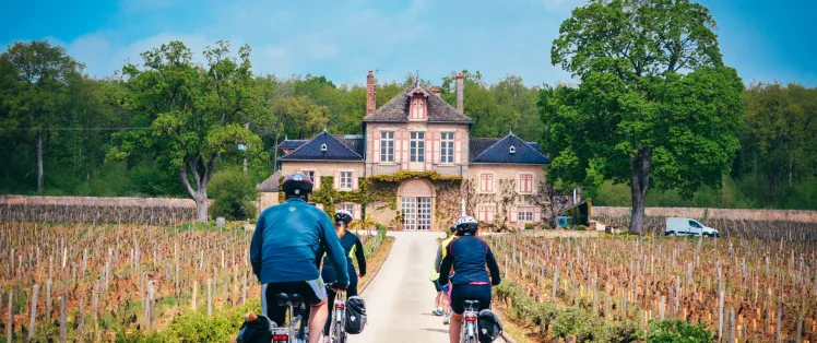 Châteaux et vignobles