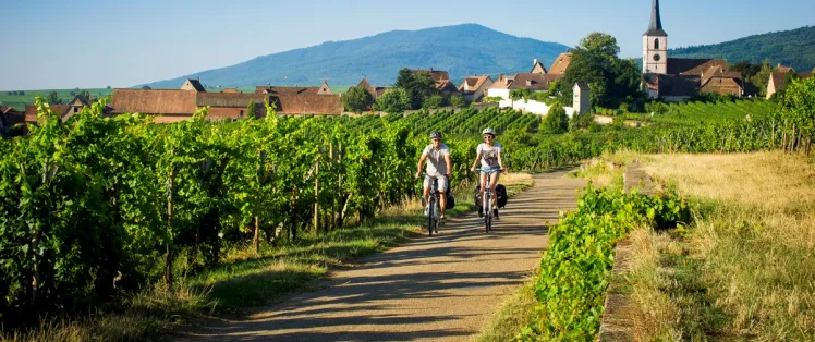Die Weinbergroute mit dem Fahrrad im Elsass - Mittelbergheim
