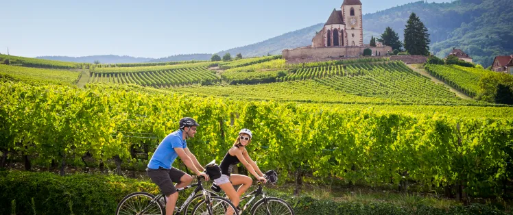 Balade sur la Véloroute du Vignoble / EuroVelo 5