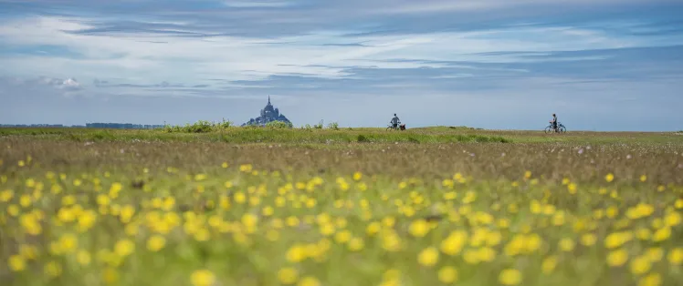 Autour du Mont-Saint-Michel