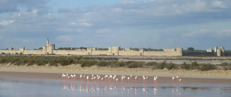 Salins d'Aigues-Mortes
