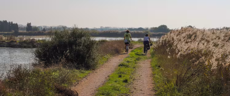 La Camargue avec Vélorizons