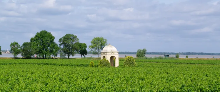 Les vignobles de Gironde à vélo