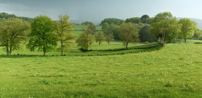 Royère de Vassivière / Aubusson