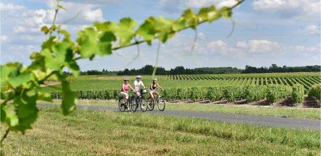 De l’abbaye d’Aiguevives au Château de Montpoupon - Boucle n°46