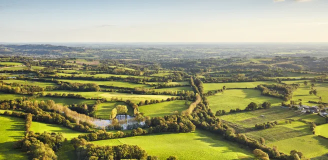 La Châtaigneraie / Pouzauges