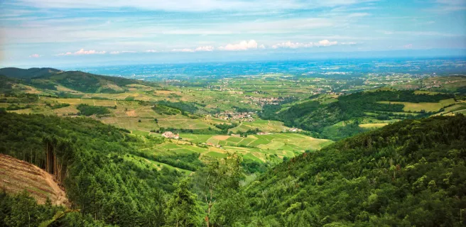 Le Perréon / Grandris