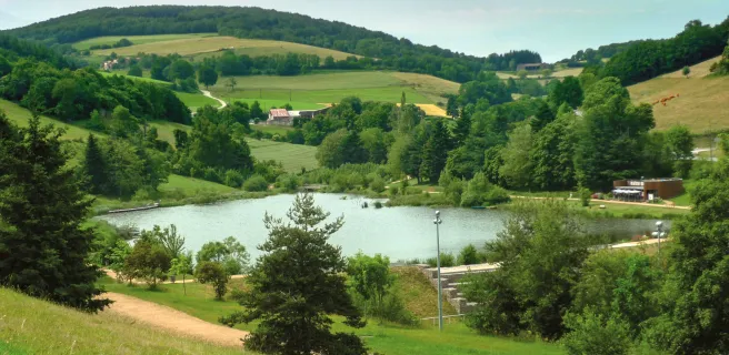 Le Martinet / Yzeron