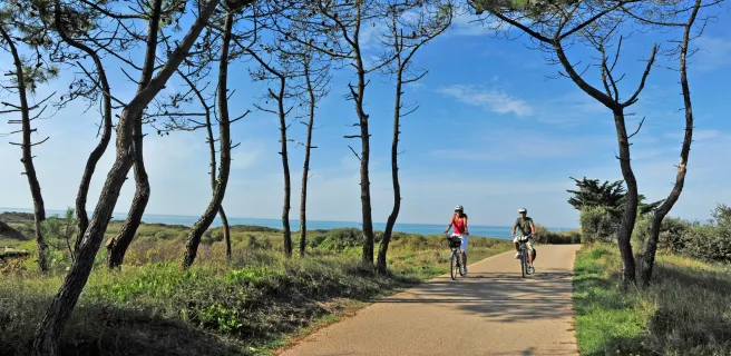 Im Freilaufmodus den Atlantik entlang