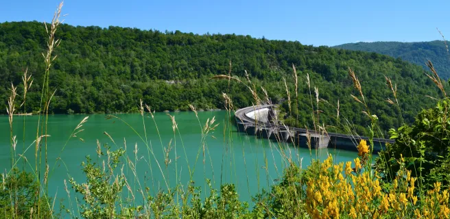 Arinthod / Les Piards