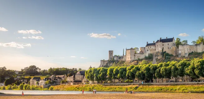 Entre Chinon et la vallée de la Vienne - Boucle vélo n°39
