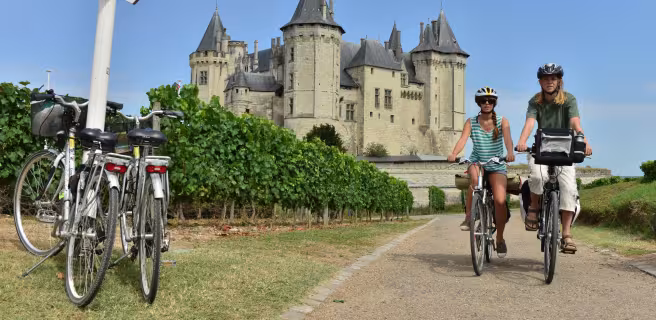 Candes-St-Martin / Saumur