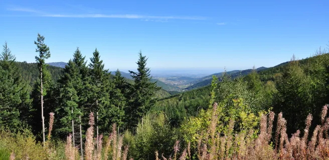 Saint-Félicien / Devesset (Abfahrtsvariante)