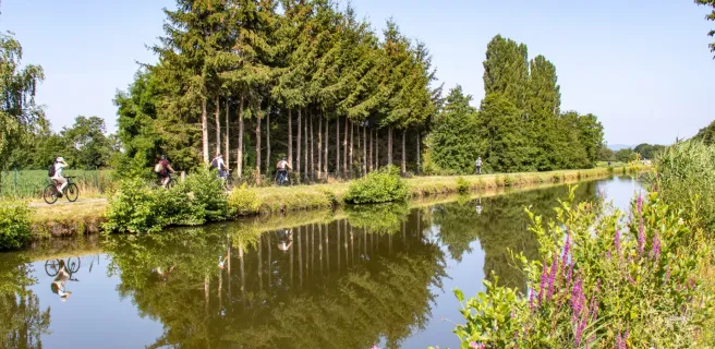 Mulhouse / Montbéliard