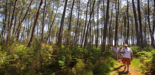 Saint-Symphorien / Salles