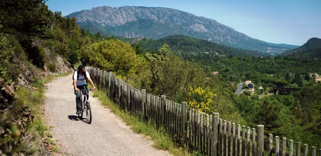 Aux abords du Caroux sur la PassaPaïs