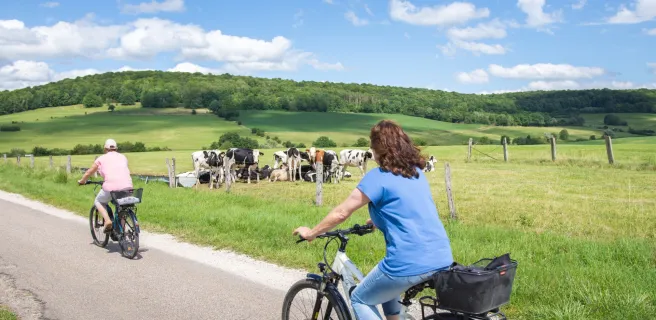 Montigny-le-Roi / Bourmont