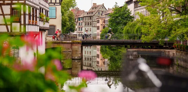 EuroVelo 15, Alsace - Neuf-Brisach Strasbourg