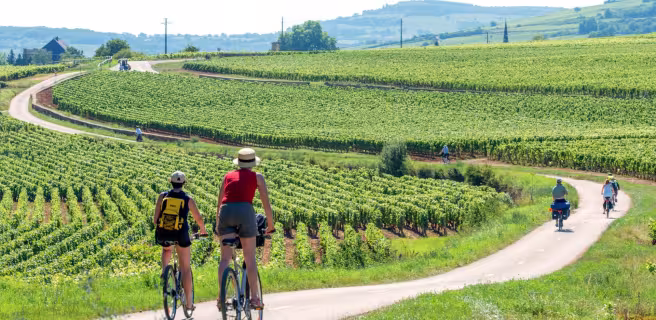 Santenay / Montceau-les-Mines