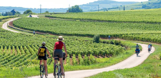 Santenay / Montceau-les-Mines