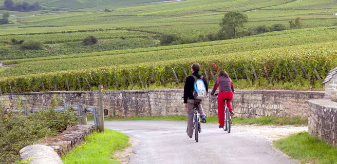 Nuits-St-Georges / Beaune