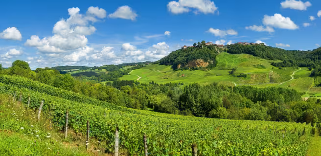 Poligny / Lons-le-Saunier (Perrigny)
